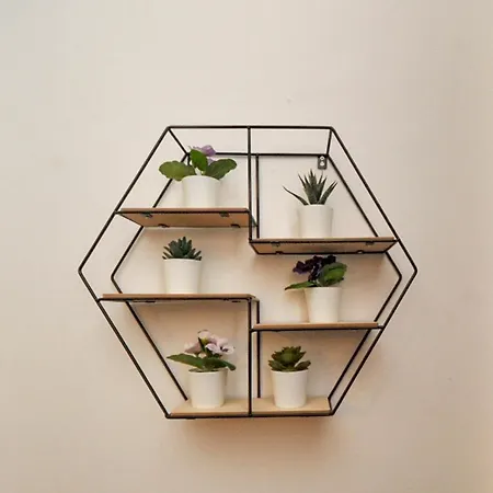 Piazzadarmi 76 * Ancona